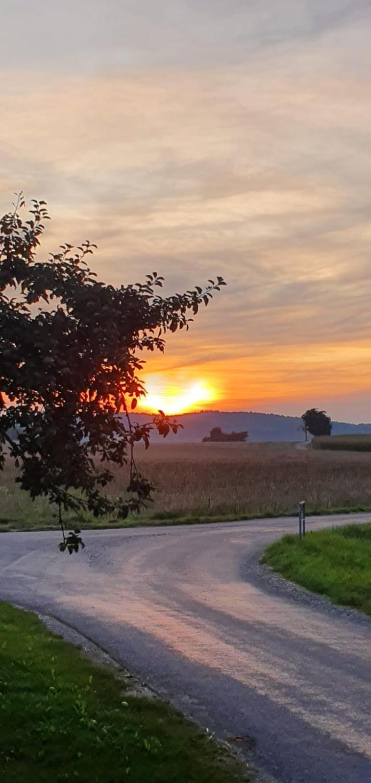 Appartamento Zettis Ferienhaeusle Berg bei Ravensburg Esterno foto