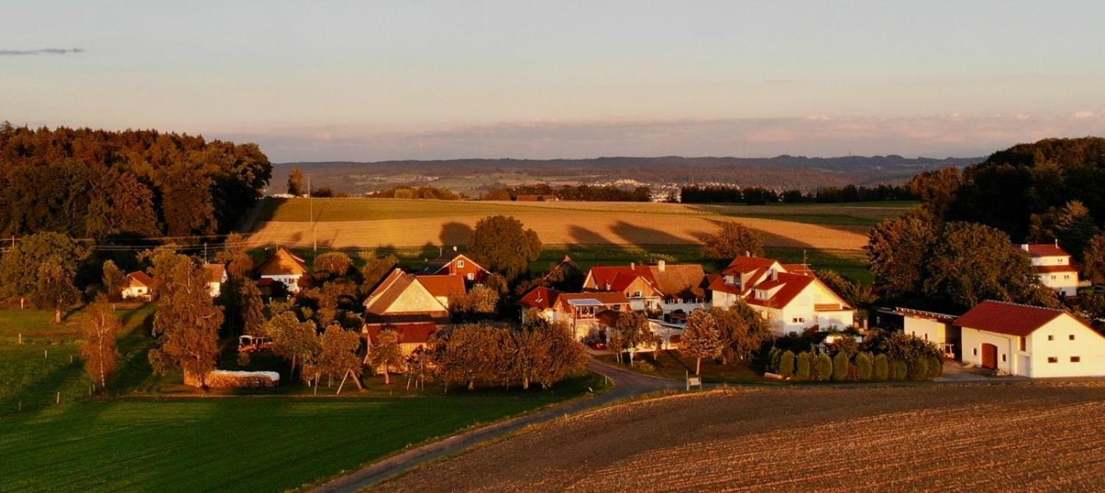 Appartamento Zettis Ferienhaeusle Berg bei Ravensburg Esterno foto