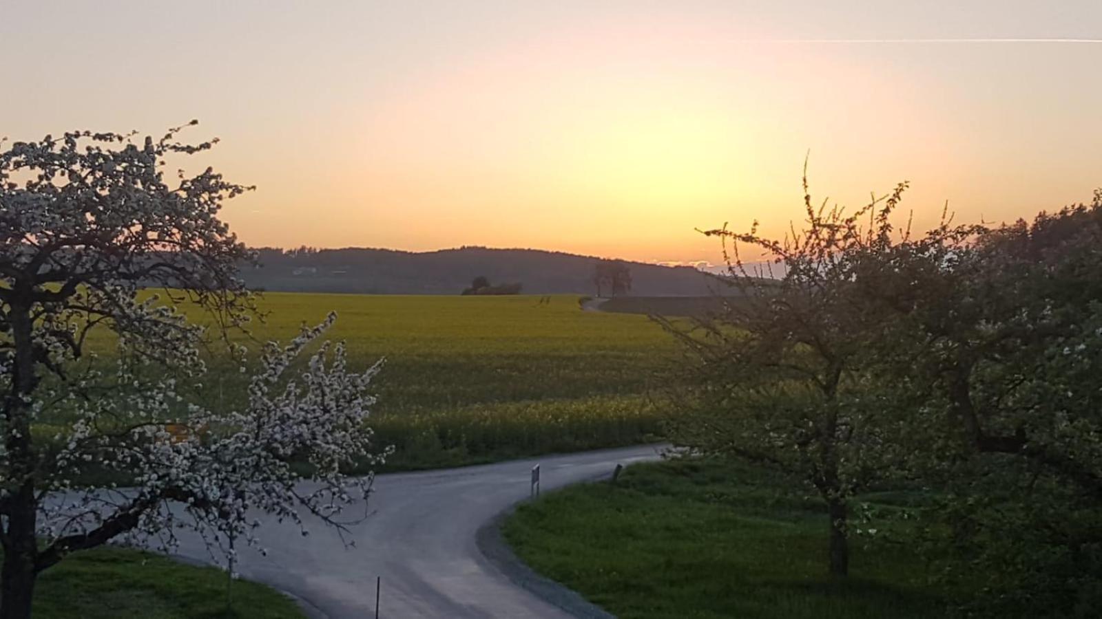 Appartamento Zettis Ferienhaeusle Berg bei Ravensburg Esterno foto