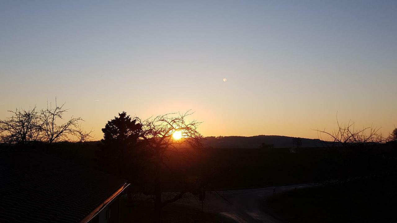 Appartamento Zettis Ferienhaeusle Berg bei Ravensburg Esterno foto